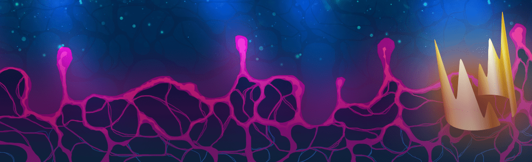 League of Legends. LEC Spring. Winner